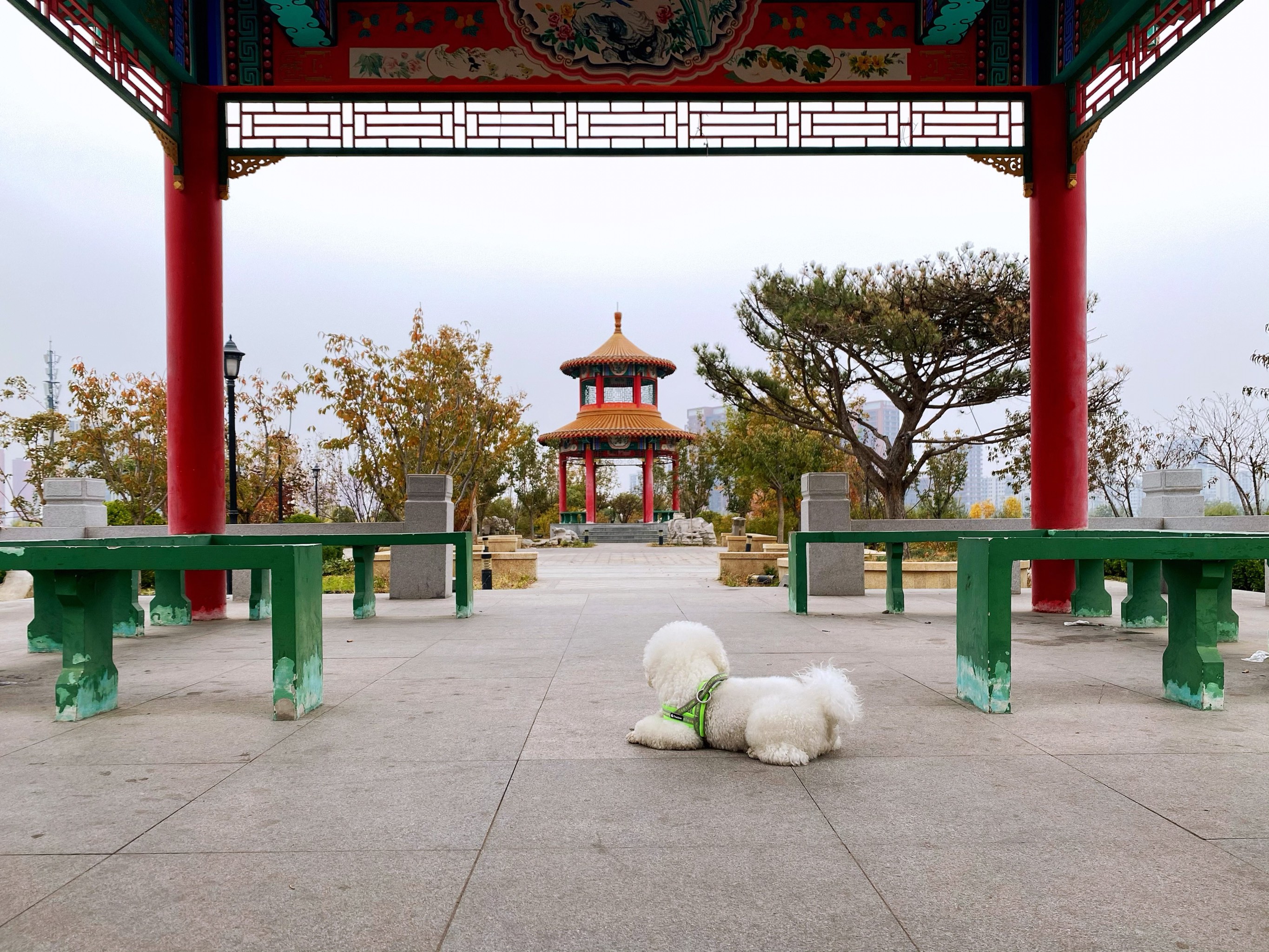 窑洼湖公园的乘车路线图片