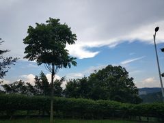-火炉山森林公园