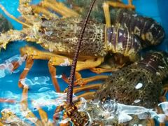 -万宝海鲜舫(劳动公园店)