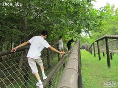 -溱湖国家湿地公园