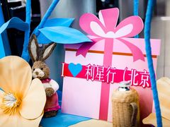 -奔驰利星行(北京花乡店)