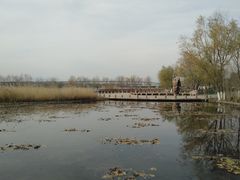 -绿堤公园