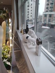 -哈尔滨瑞丽医疗美容医院