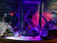 -沈阳海洋探索中心