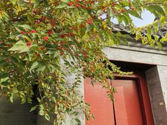 -北门涮肉·炭火铜锅涮肉(什刹海店)