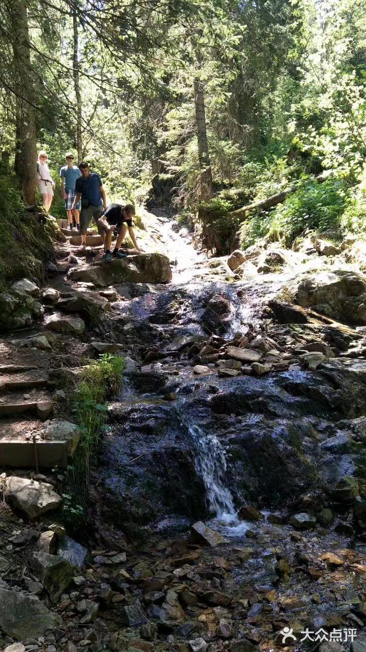 高山、草地、丛林、溪流、湖泊，一次性饱览个够