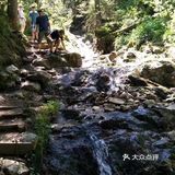高山、草地、丛林、溪流、湖泊，一次性饱览个够