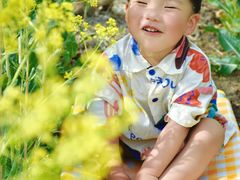 -西青郊野公园