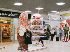 -谢列梅捷沃国际机场