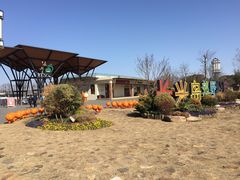 -上海长兴岛郊野公园