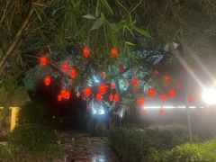 -金河半岛园林酒家(金融城店)