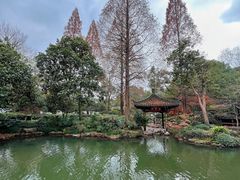 -杭州植物园