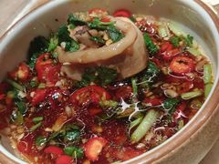 -蘑界·野生菌火锅(深业上城店)