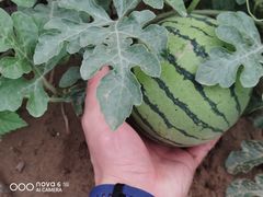 -凤凰小镇·徐州特色菜(凤凰岭店)