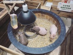 -酷嗒动物文化乐园(cutezoo西溪乐天城店)