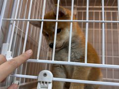 -福建师范大学(仓山校区)