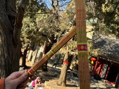 -泰山风景名胜区-普照寺