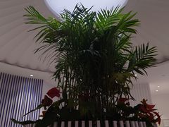-LANN I 蘭 SPA(陆家嘴中心店)