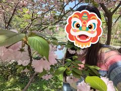 -幕燕滨江·长江观音景区