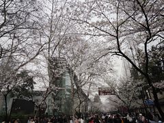 -鸡鸣寺