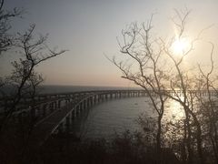 -星海湾跨海大桥