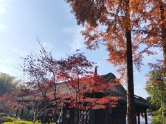 -凤城河风景区