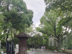 -鲁镇