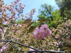 -汤山公园