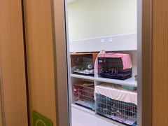 -瑞鹏宠物医院·骨科·猫科·内科(第一中心)