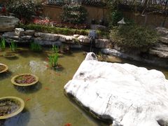 -聚缘堂·海鲜私房菜(松岭路店)