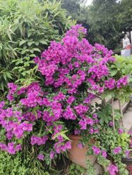 -莲生母婴月子中心(清水河公园店)