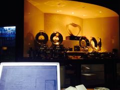 -虹桥机场国航贵宾室v8