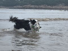 -宁波松兰山滨海旅游度假区
