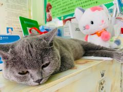 -百信宠物医院(东升街店)