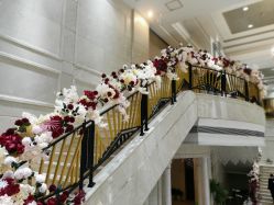 -禾丽康美医疗美容医院