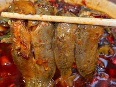 -情妹耙泥鳅·江湖川菜(科华店)