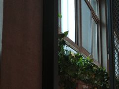 -比格比萨自助(国展店)