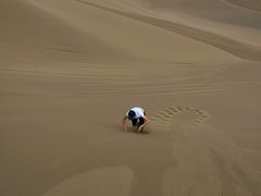 -仙人掌足疗养生馆(北京路至尊店)