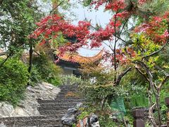 -戏马台景区
