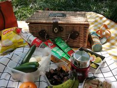 -桤木河湿地公园