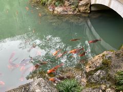 -灵栖洞天