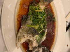 -美心皇宫(沙田大会堂店)