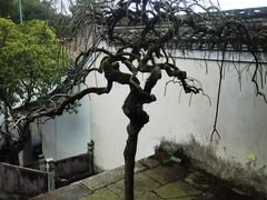 -宁波市保国寺古建筑博物馆