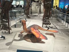 -国家自然博物馆