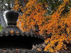 -香山公园