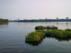 -长春市南湖公园