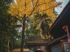 -老君山