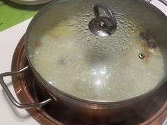 -洪氏嗨捞·猪肚鸡火锅(阳光天地店)