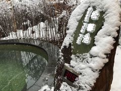 -长白山聚龙火山温泉