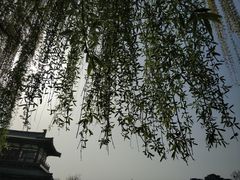 -西安青龙寺遗址景区